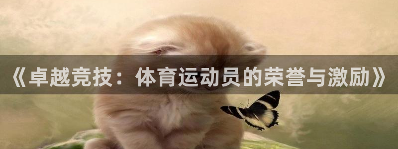 中欧体育kok