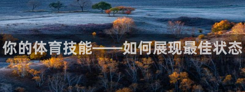 中欧体育(zoty)官网