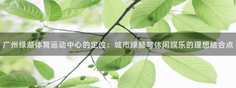 中欧体育网页版