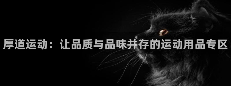 中欧体育kok