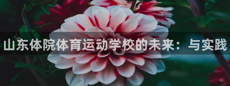 中欧体育ios
