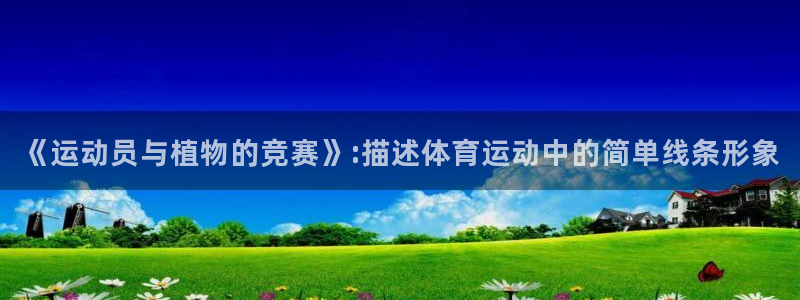 中欧体育网页版