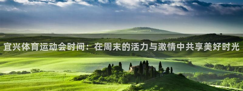 中欧体育网站