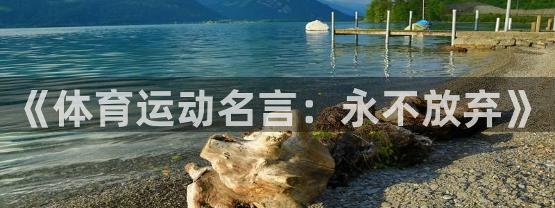 中欧体育官网