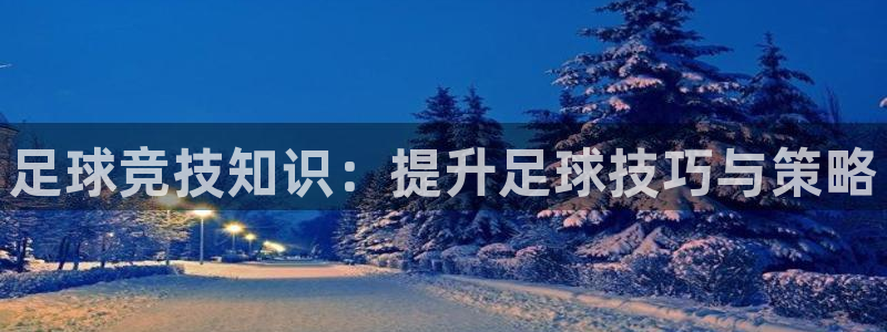kok中欧体育