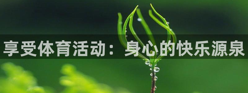 zoty中欧体育网址多少